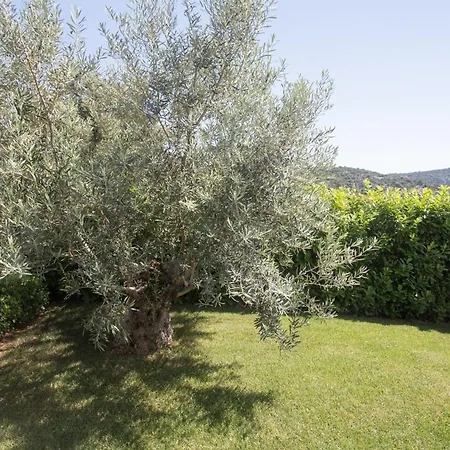 View Collection Villa