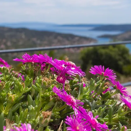 Villa View Collection *