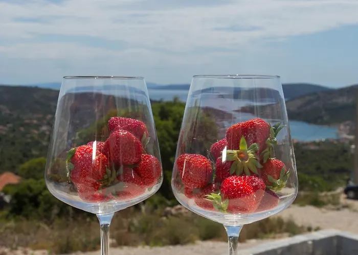 View Collection Vila