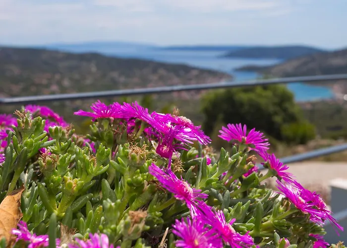 Vila View Collection *